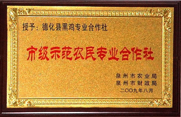 05.jpg
