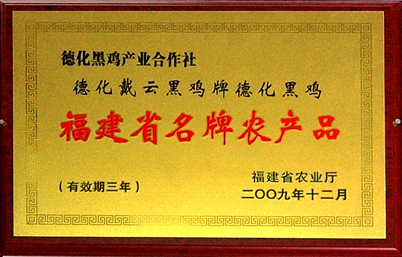 04.jpg