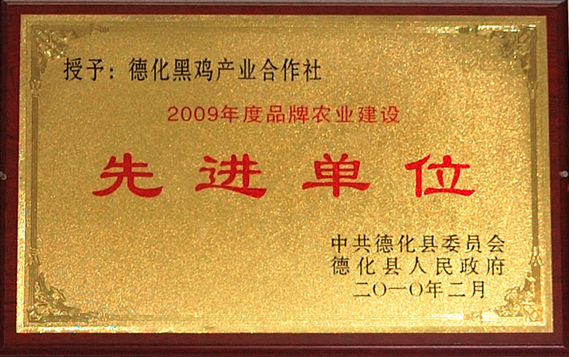 03.jpg