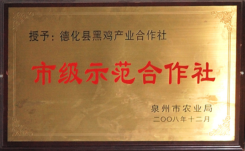 02.jpg